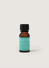 Eucalyptus essential oil - Eucalyptus Oil