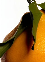 Essential Orange Oil - Sweet Orange Oil