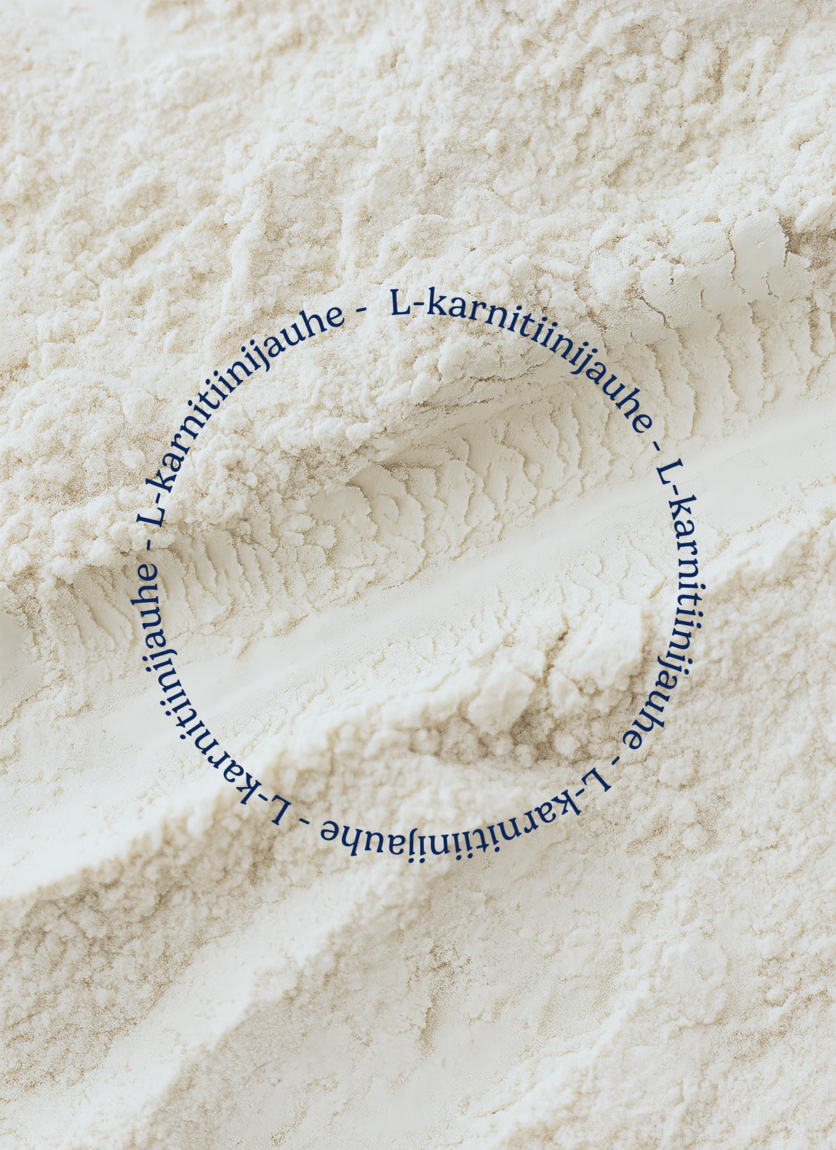 L-carnitine powder 100 g