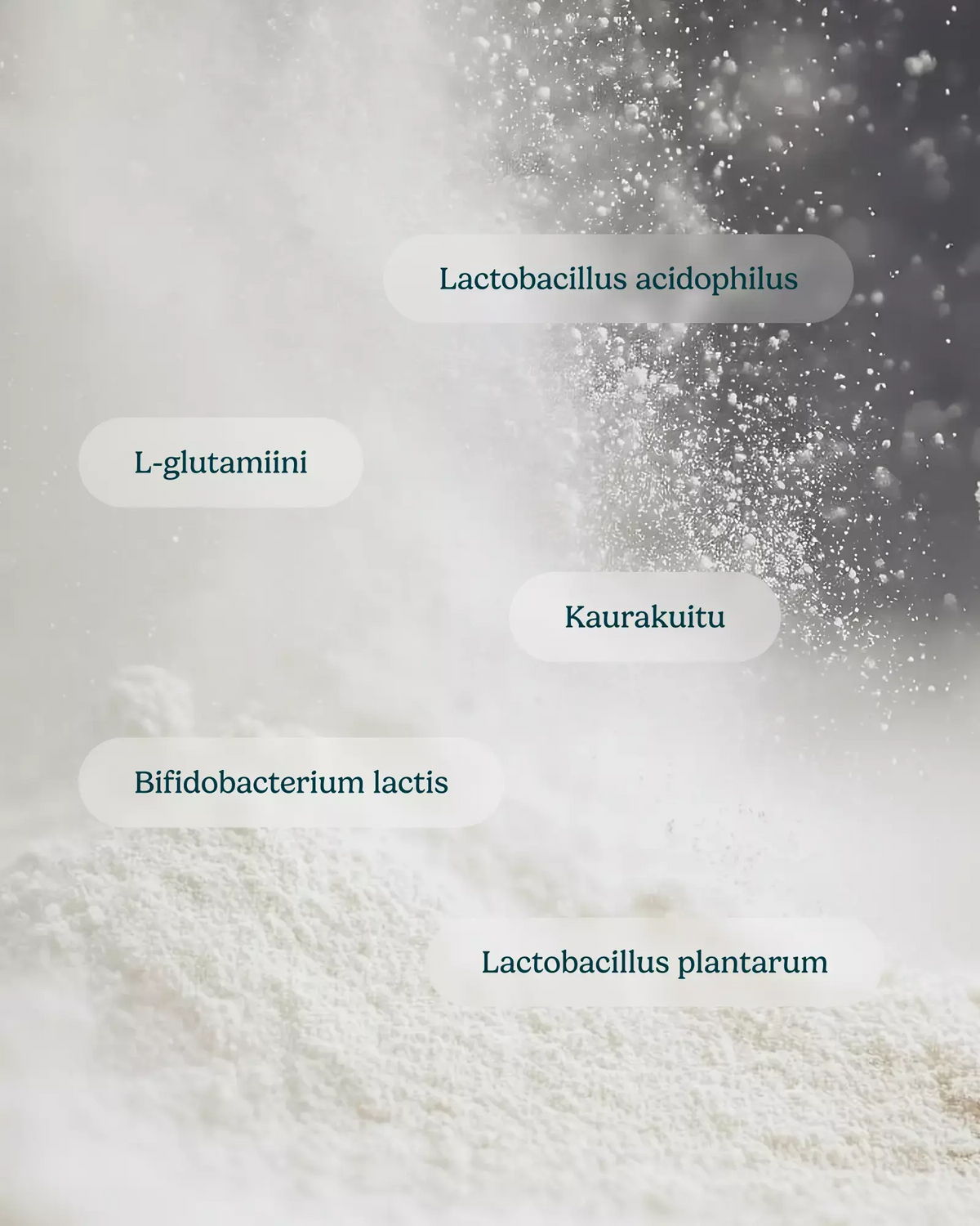 Lactic acid bacteria+Oat fiber+Glutamine
