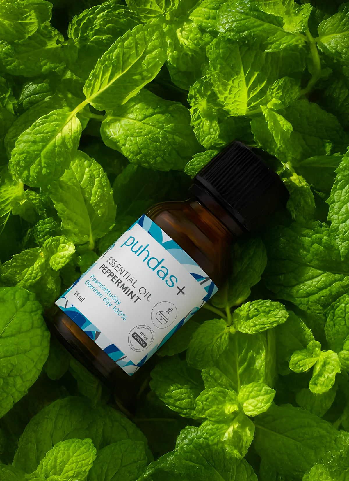 Peppermint Essential Oil - Peppermint Oil