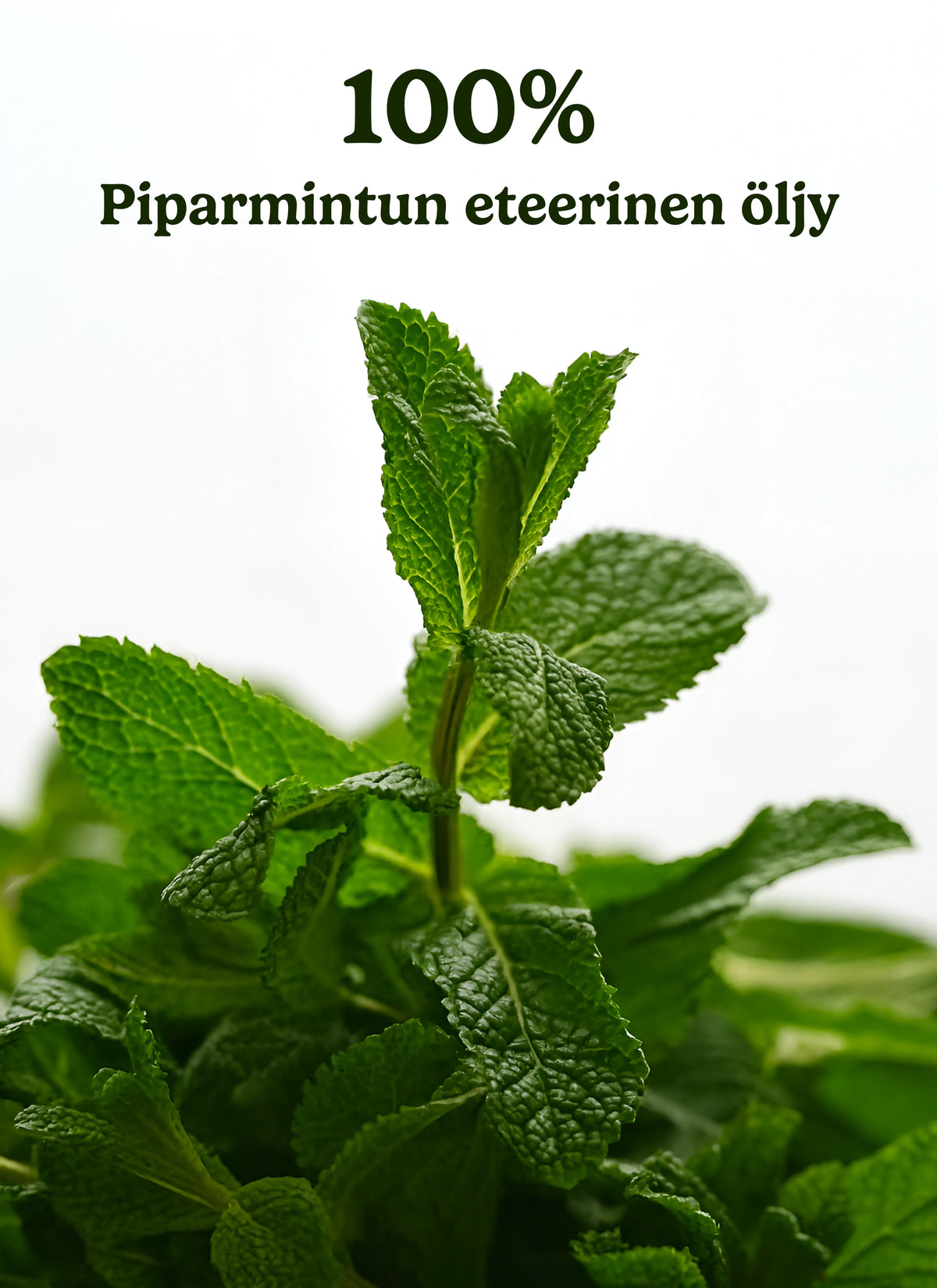 Peppermint Essential Oil - Peppermint Oil