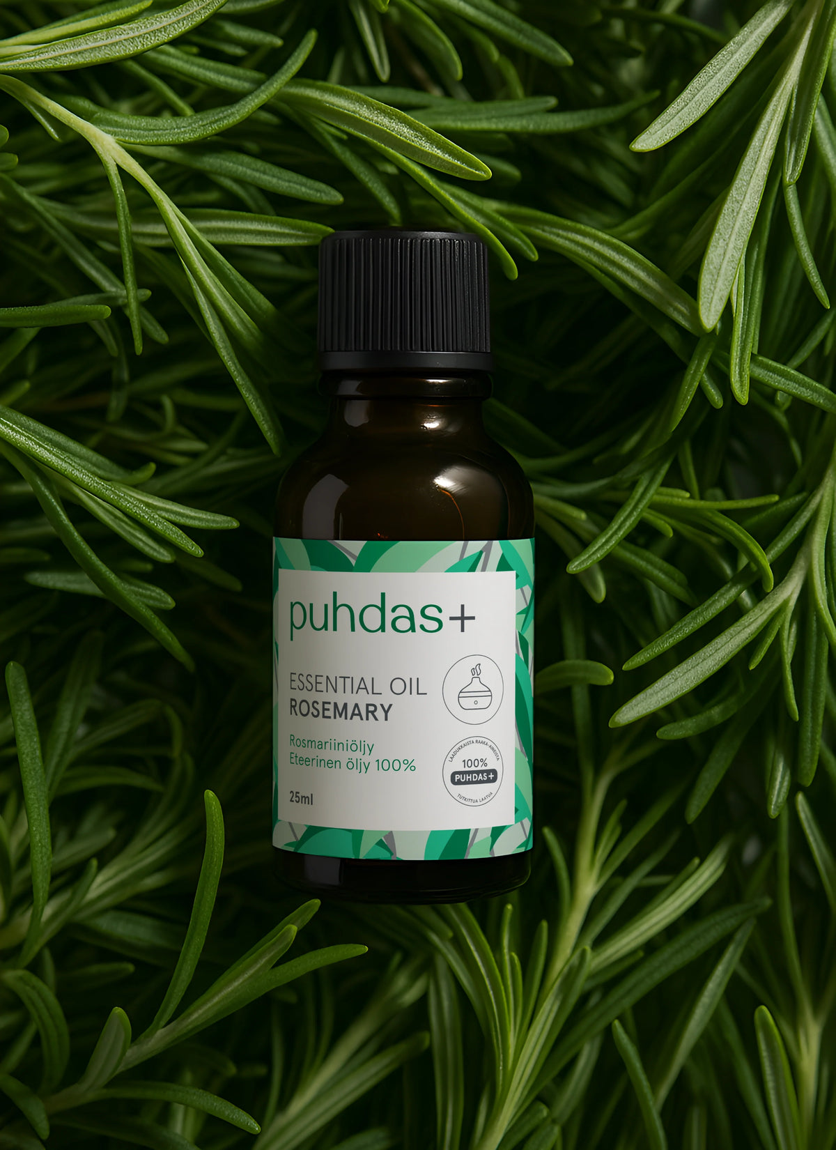 Rosemary essential oil - Rosemary Oil