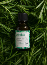 Rosemary essential oil - Rosemary Oil
