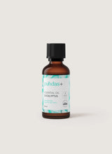 Eucalyptus essential oil - Eucalyptus Oil
