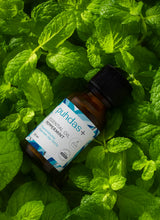 Peppermint Essential Oil - Peppermint Oil