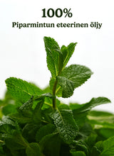 Peppermint Essential Oil - Peppermint Oil