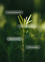 Rosemary Hair Water - Rosemary hair water 100 ml